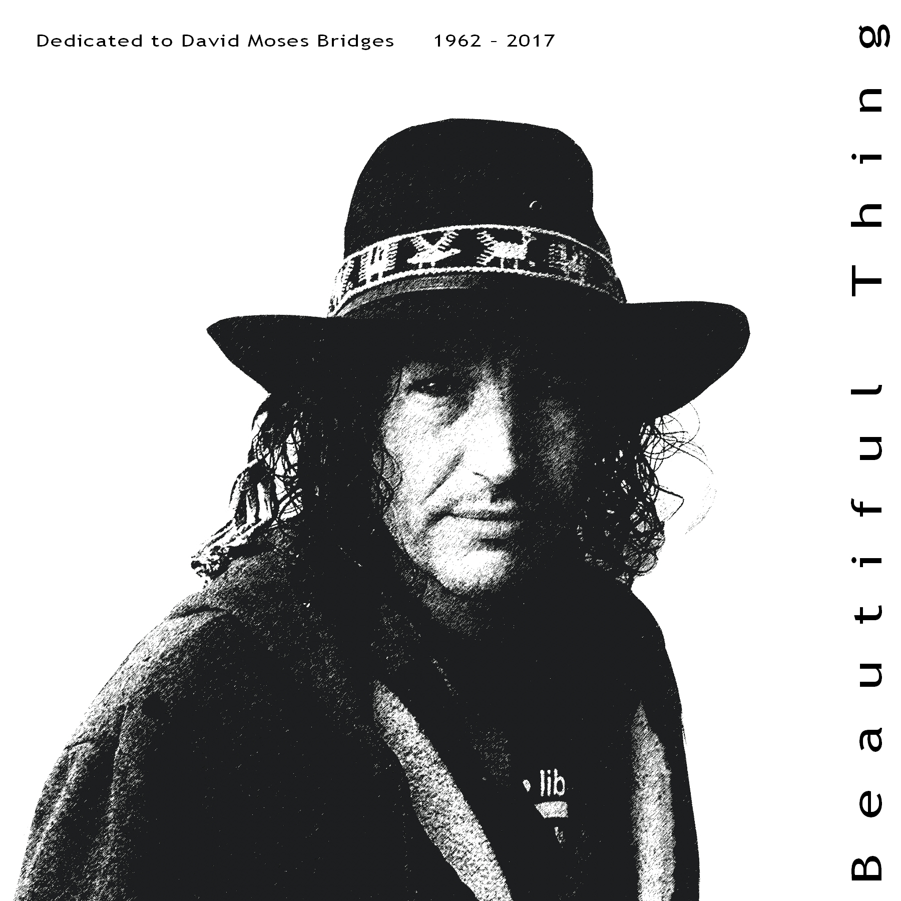David Moses Bridges - Beautiful Thing album inside cover
